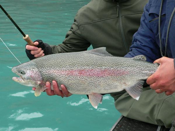 kenai rainbow.jpg kenai rainbow.jpg